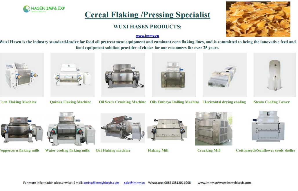 Corn Flake Machine Turnkey Project 